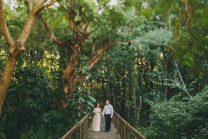 palm-cove-elopement20