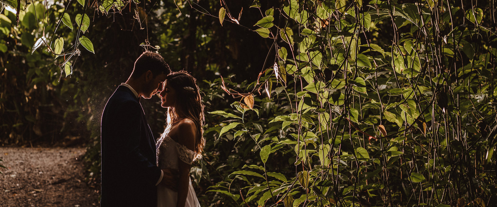 Matthew Evans Photography — photo 16 of 18